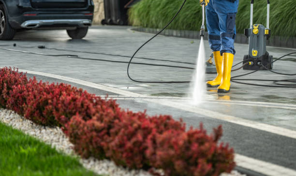 Best Dumpster Area Cleaning  in Bellaire, TX